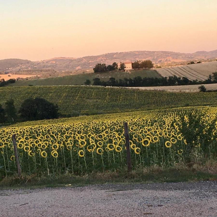 Agriturismo Barbicate Сатурния Экстерьер фото